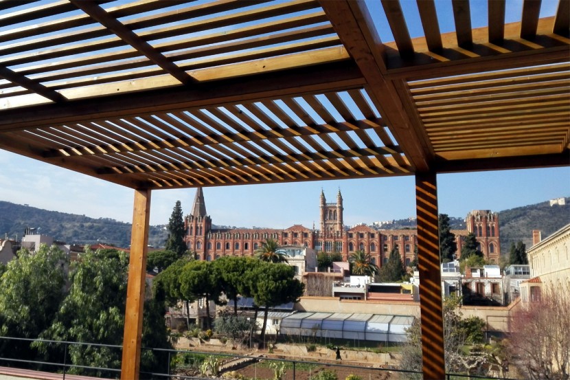 pergola-4.jpg